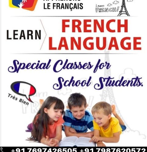 Learn French Language