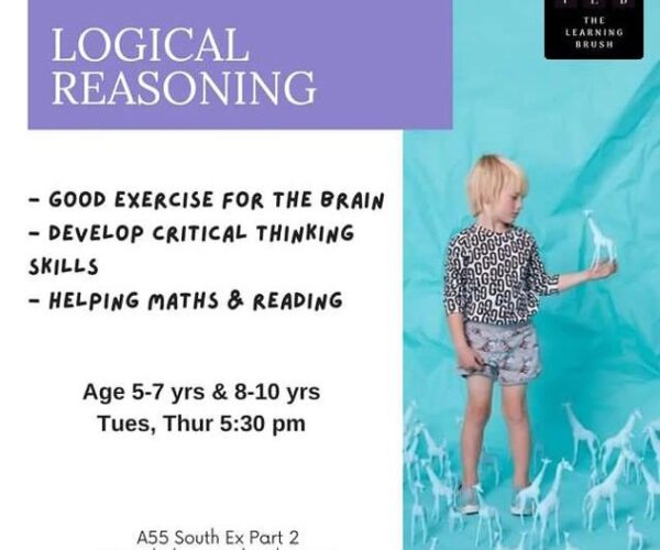 Logical Reasoning Classes for Kids in South Ex Part 2
