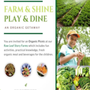 Farm and Shine Play and Dine an Organic Gateway in Sohna Gurgaon