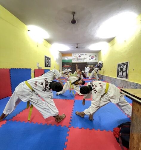 Taekwondo Training Academy in Mahendra Park