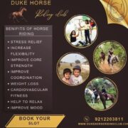 Horse Riding Classes for Kids in Sector 58 Gurgaon