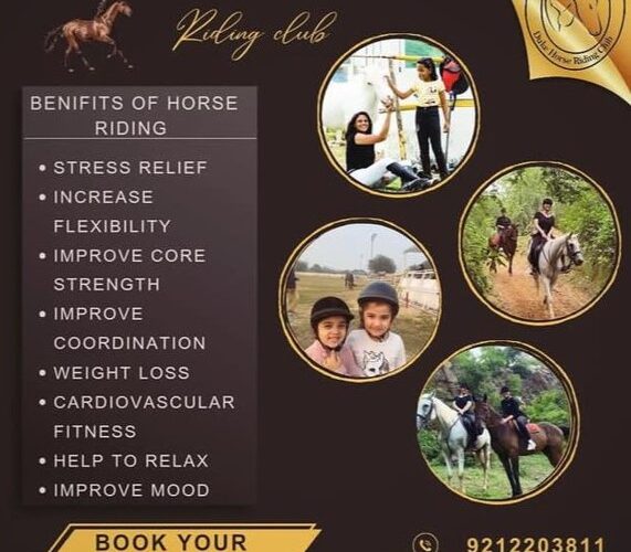 Horse Riding Classes for Kids in Sector 58 Gurgaon