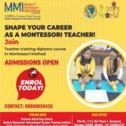Teacher Training Classes in Punjabi Bagh West at Modern Montessori International