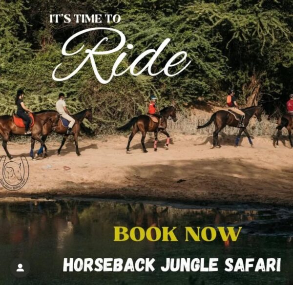 Duke Horse Riding Club Gurgaon