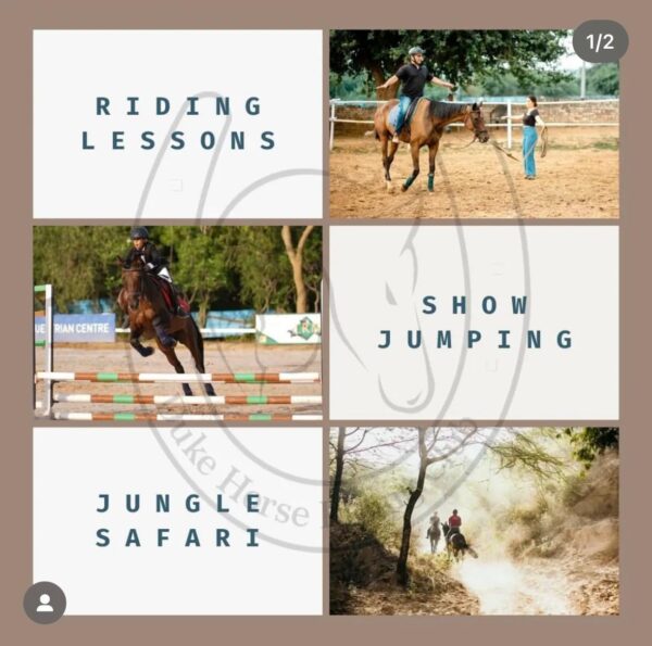 Duke Horse Riding Club Gurgaon - Image 4