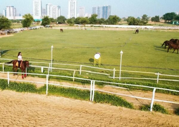 Duke Horse Riding Club Gurgaon - Image 7