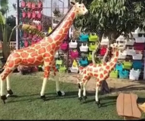 Zootopia animal farm gurgaon