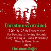 The Barnyard – Christmas Carnival in Sainik Farms