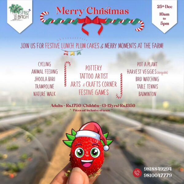 Sabz bagh Christmas Carnival in Asola Delhi