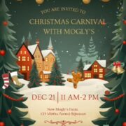 Mogly Gurukul  Christmas Carnival for Kids in Bijwasan South Delhi