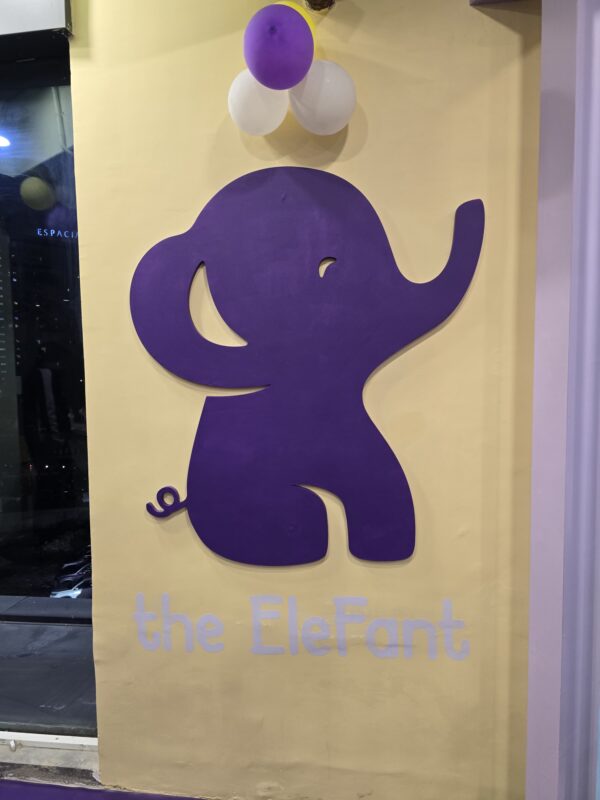 The Elefant Play Arena  Play Area for Kids in Sector 104 Noida - Image 5