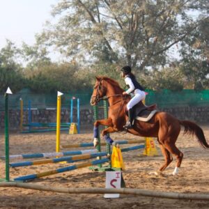 Adagio Riding Stables Horse Riding Classes for Kids in Balola, Gurugram