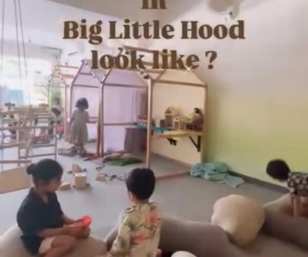 Big Little Hood Play Area in Sector 135, Noida