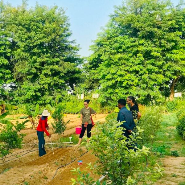 Farmus -Animal Farms in Sector 67 Gurugram