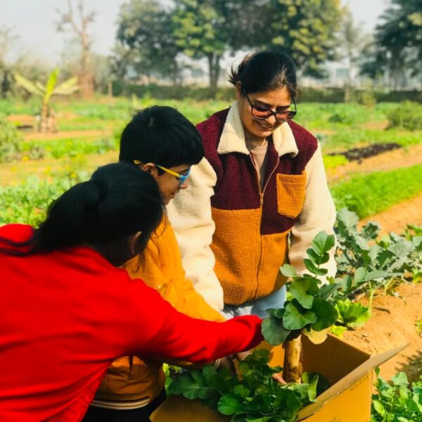 Farmus -Animal Farms in Sector 67 Gurugram