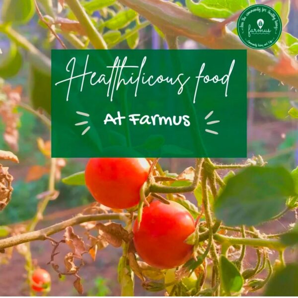 Farmus -Animal Farms in Sector 67 Gurugram