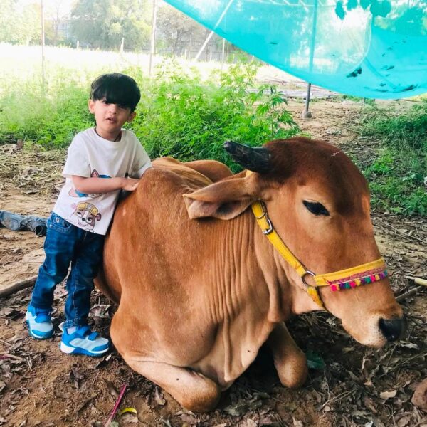 Farmus -Animal Farms in Sector 67 Gurugram