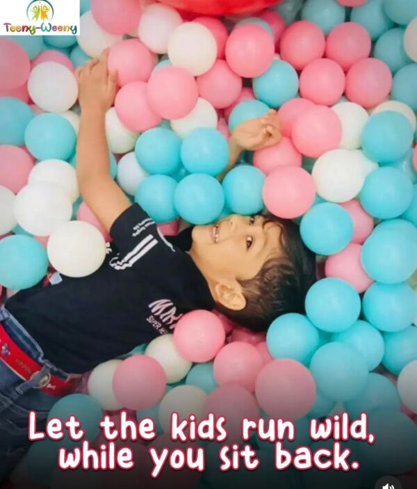 Teeny Weeny Play Area & Birthday Party Venue for Kids in sector 141 Nodia - Image 3