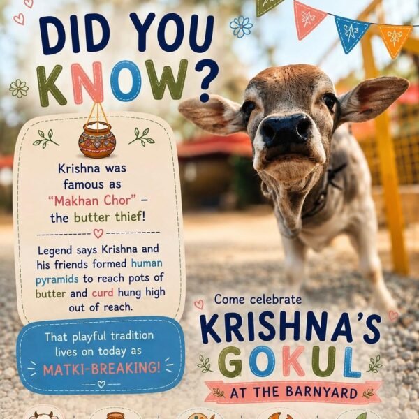 Krishna Gokul Janamashtami Workshop for Kids in Sainik Farms South Delhi