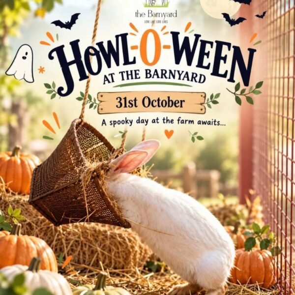Halloween Events for kids in South Delhi