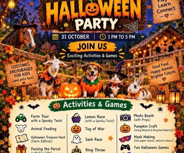 Halloween party at Tuk Tuk Gilhari Noida